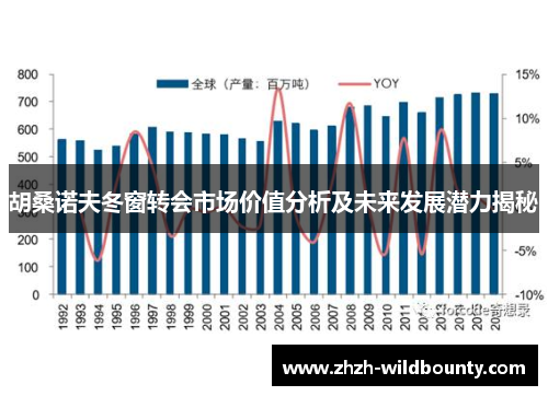 胡桑诺夫冬窗转会市场价值分析及未来发展潜力揭秘