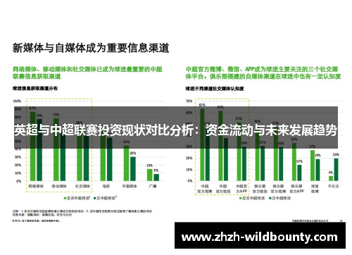 英超与中超联赛投资现状对比分析：资金流动与未来发展趋势
