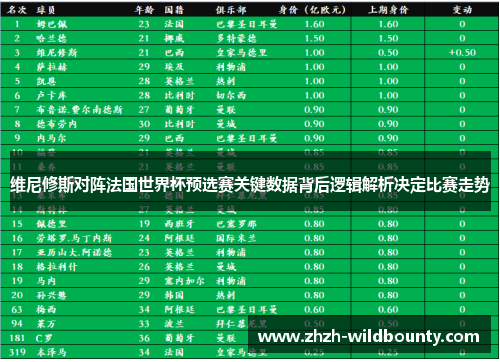 维尼修斯对阵法国世界杯预选赛关键数据背后逻辑解析决定比赛走势