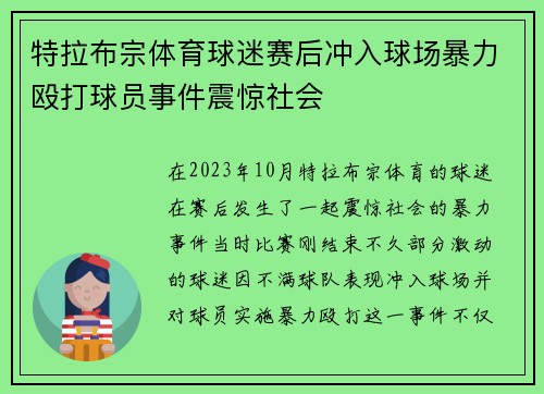 特拉布宗体育球迷赛后冲入球场暴力殴打球员事件震惊社会